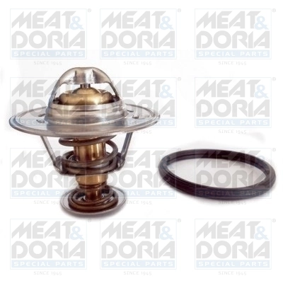 Thermostat, coolant